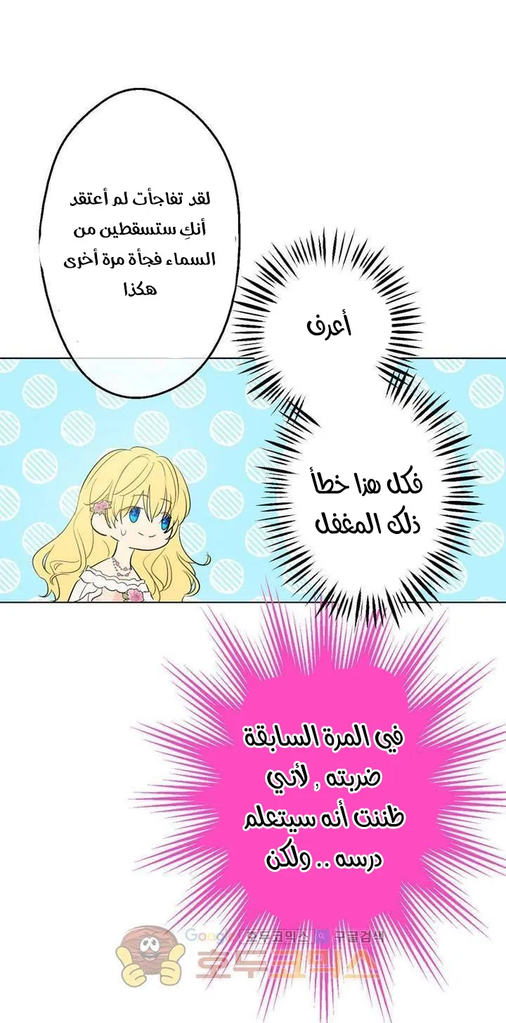 الصفحة 25 من 48