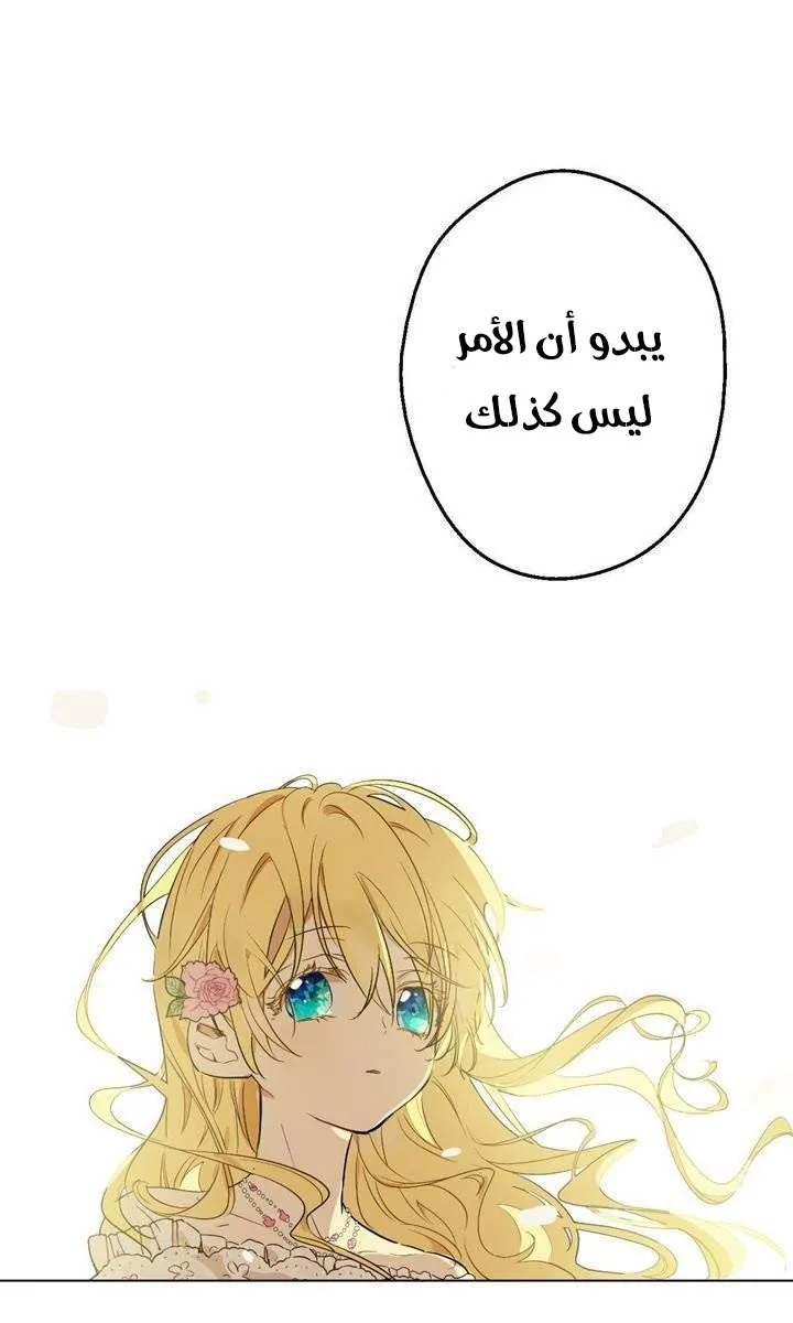 الصفحة 27 من 48