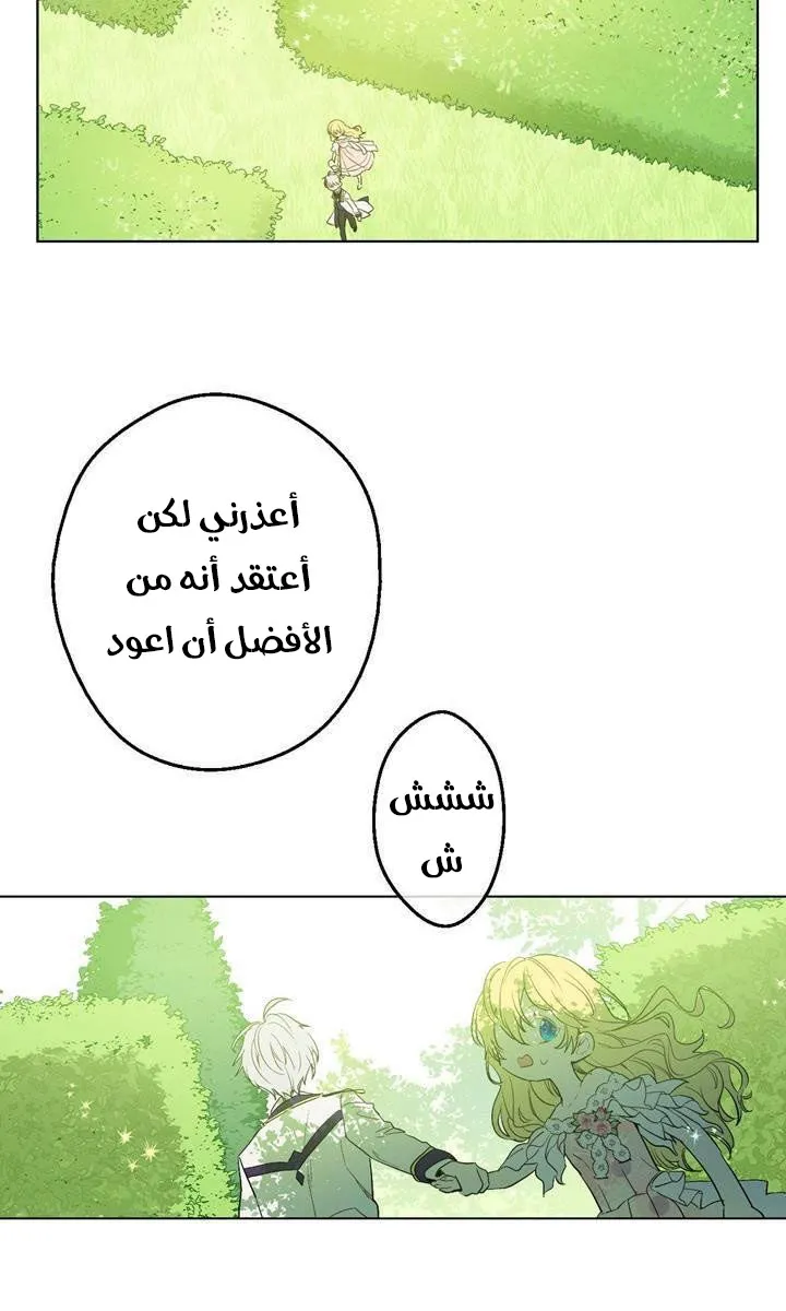 الصفحة 19 من 48