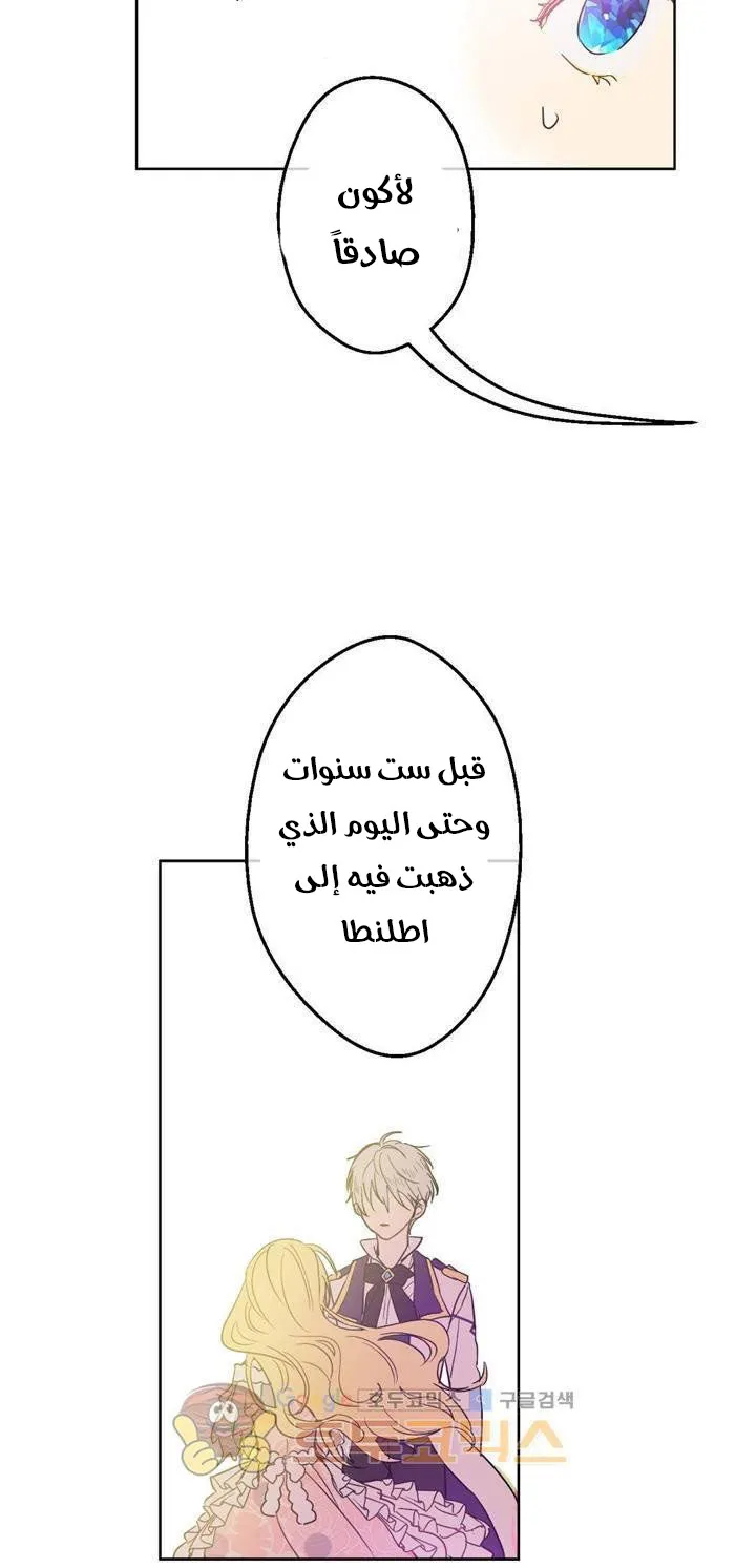 الصفحة 31 من 48