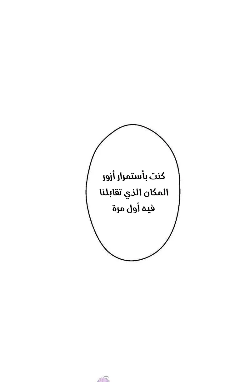 الصفحة 32 من 48