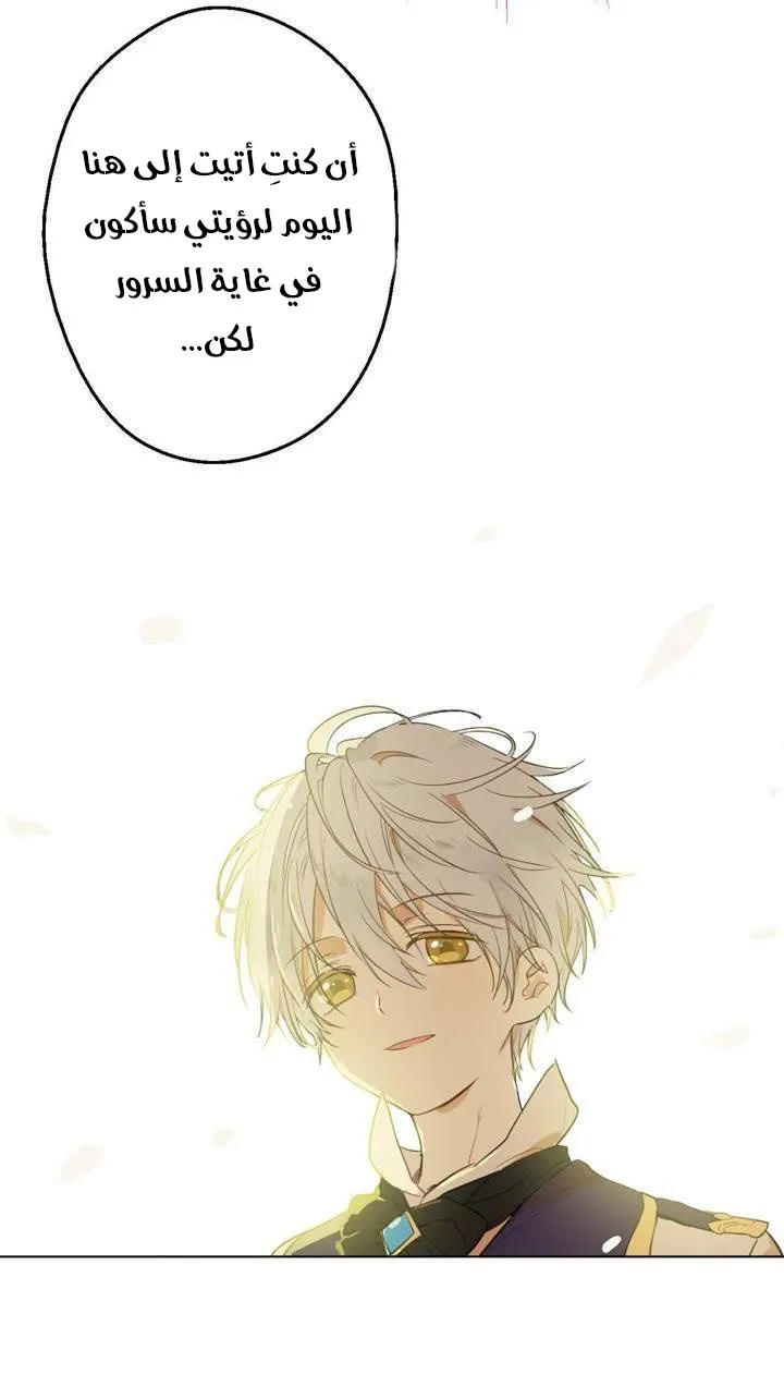 الصفحة 26 من 48