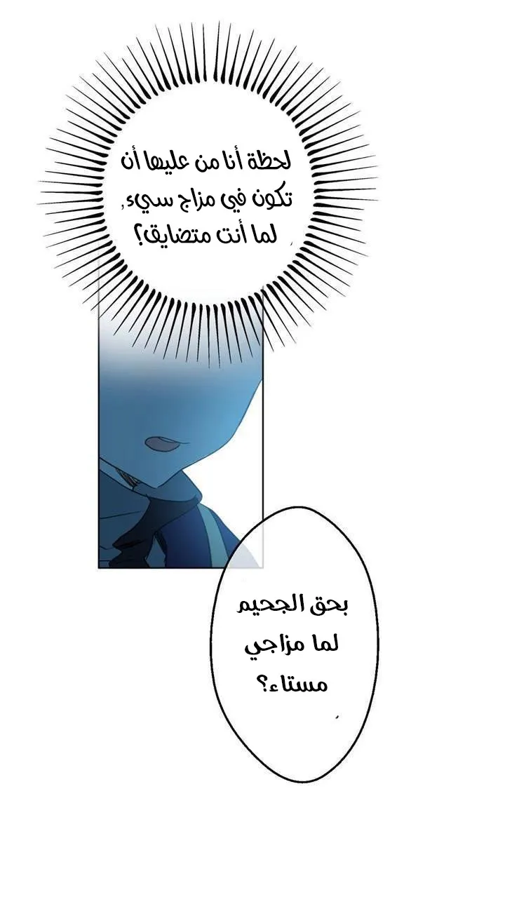 الصفحة 44 من 48