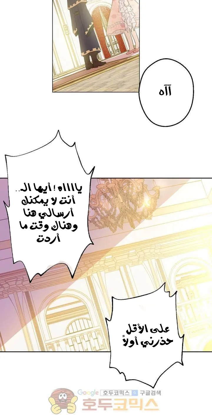 الصفحة 41 من 48