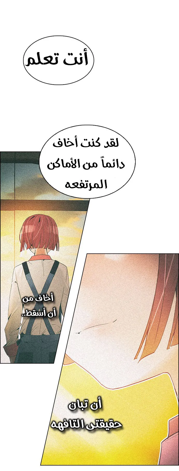 الصفحة 19 من 55