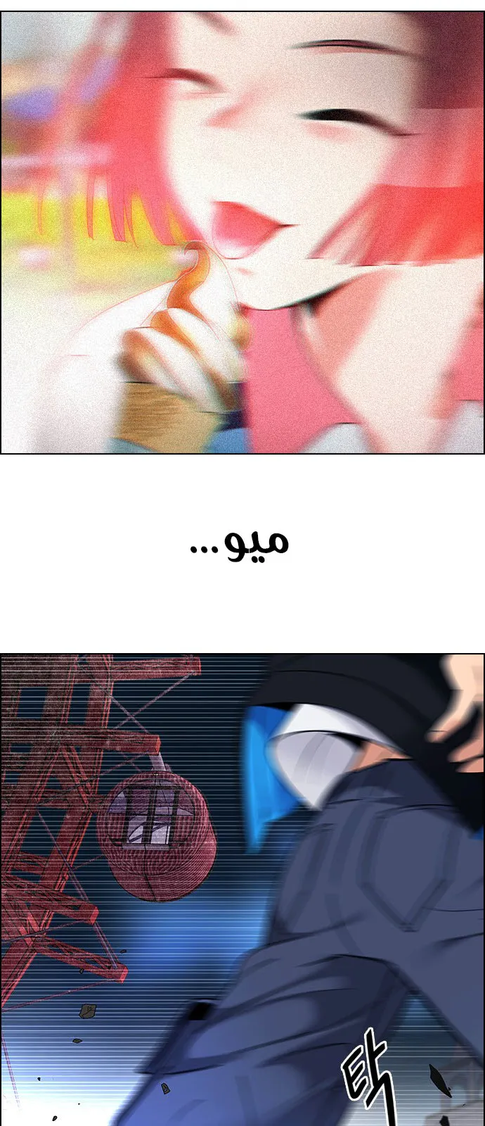 الصفحة 17 من 55