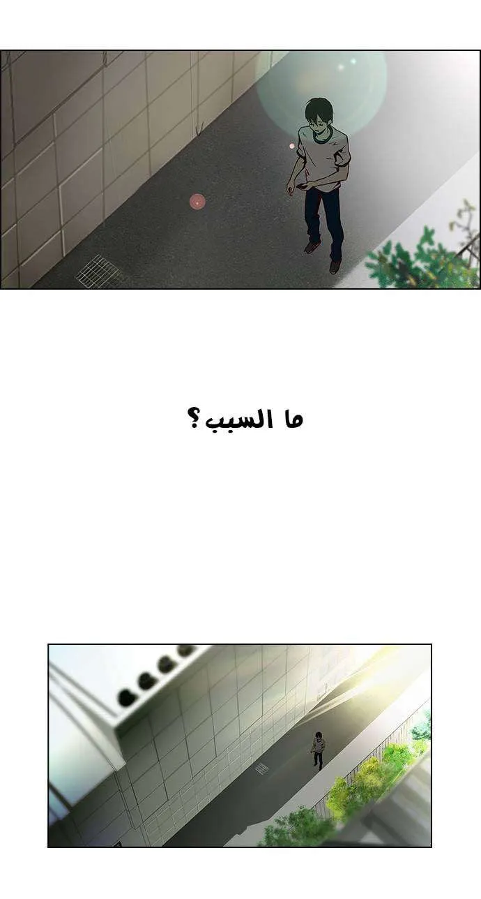 الصفحة 17 من 39