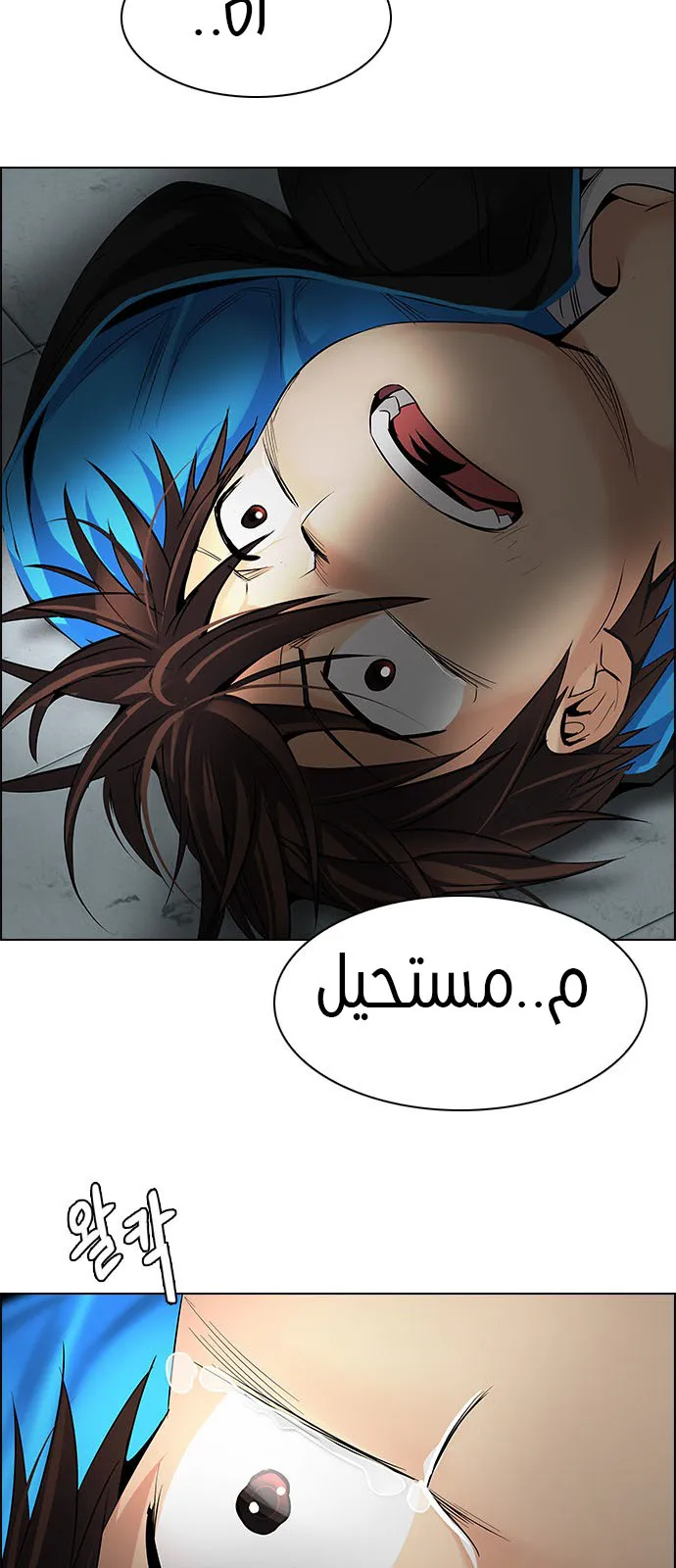 الصفحة 29 من 55