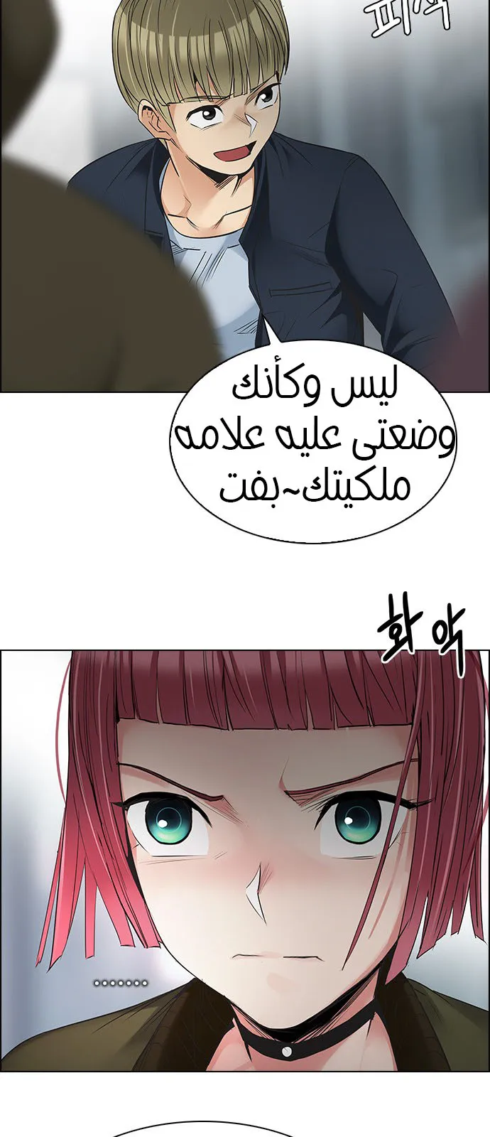 الصفحة 42 من 55