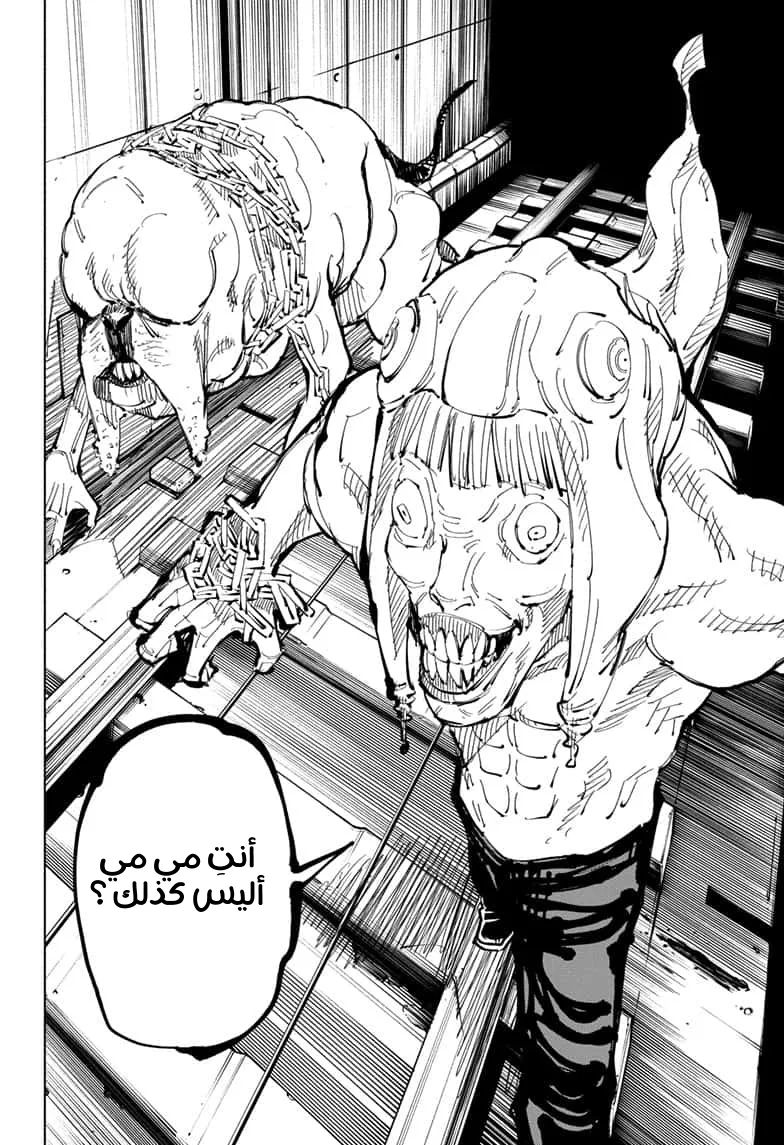 الصفحة 14 من 19