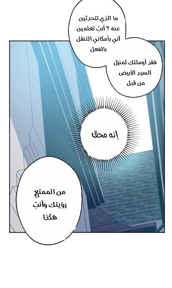 الصفحة 31 من 62