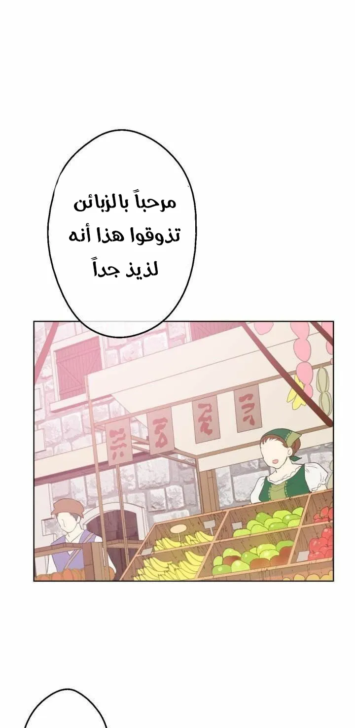 الصفحة 26 من 62