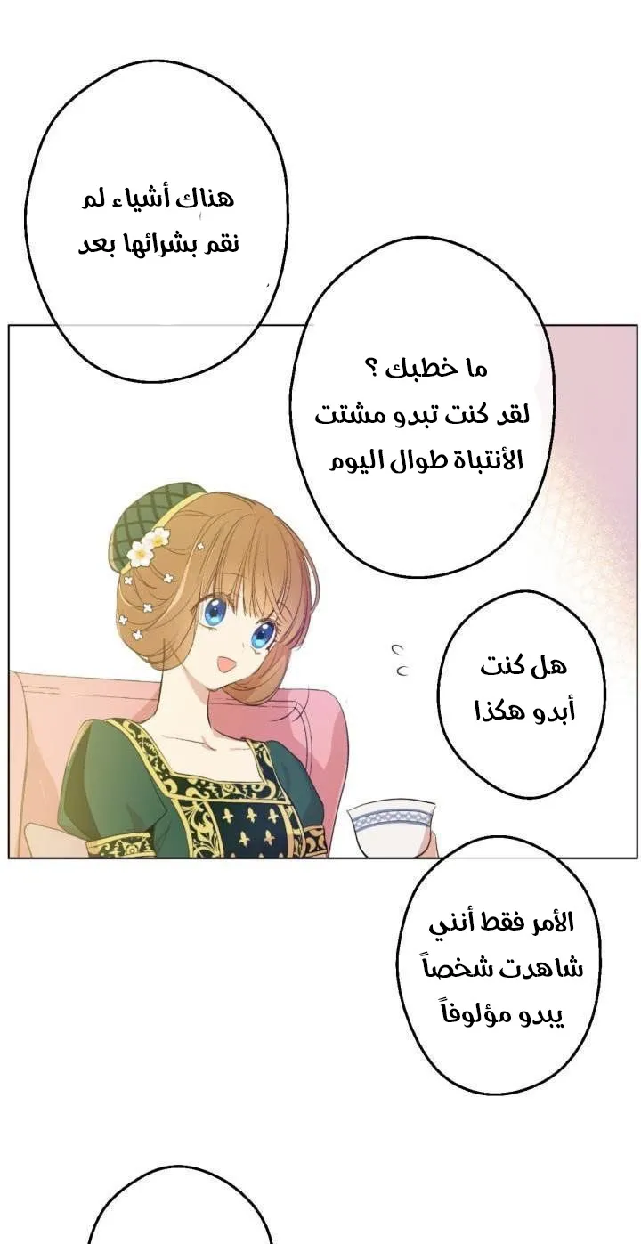 الصفحة 48 من 62