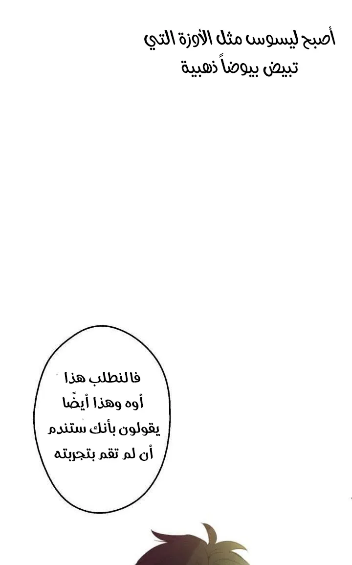 الصفحة 44 من 62