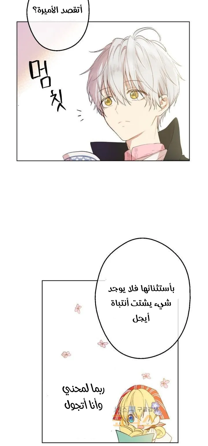 الصفحة 49 من 62