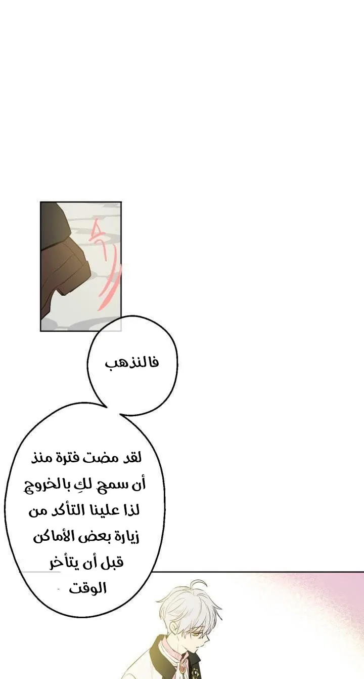 الصفحة 50 من 62