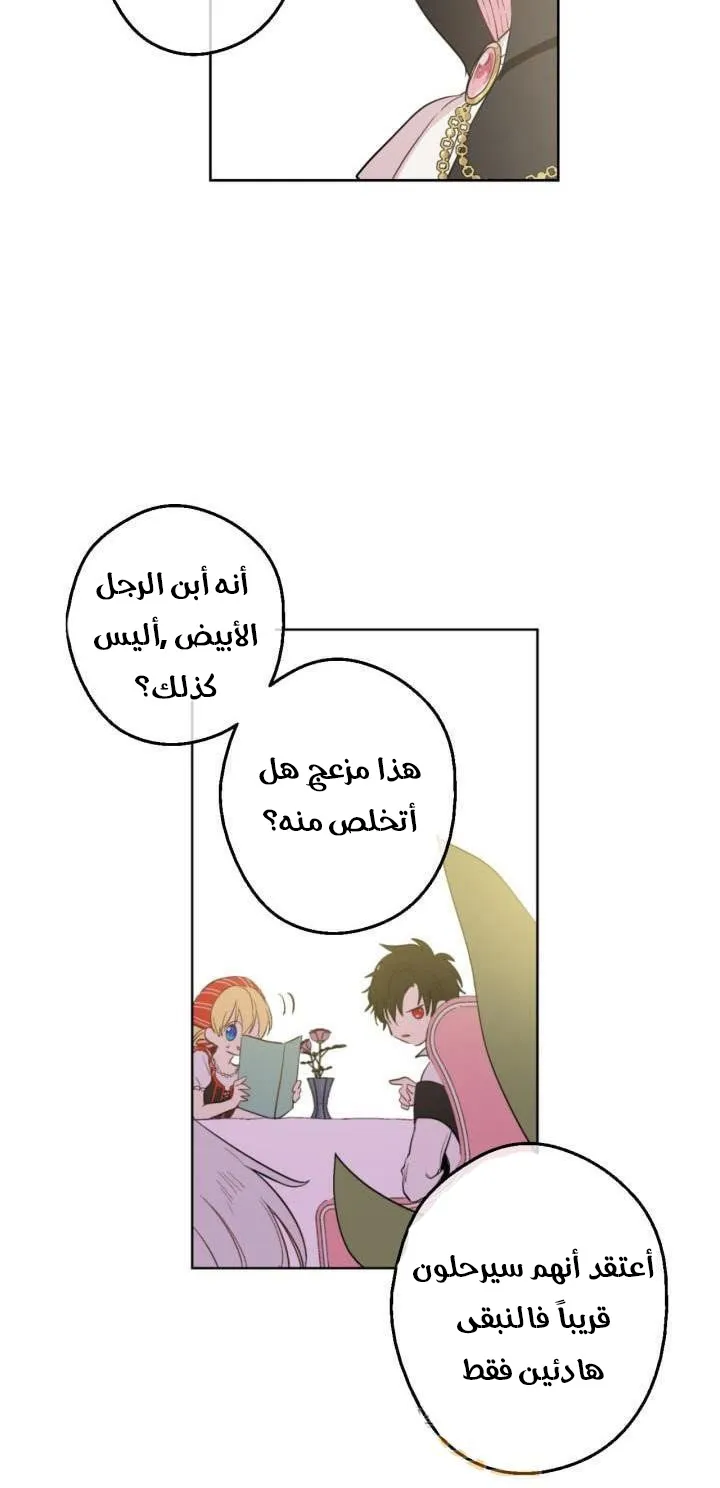 الصفحة 47 من 62