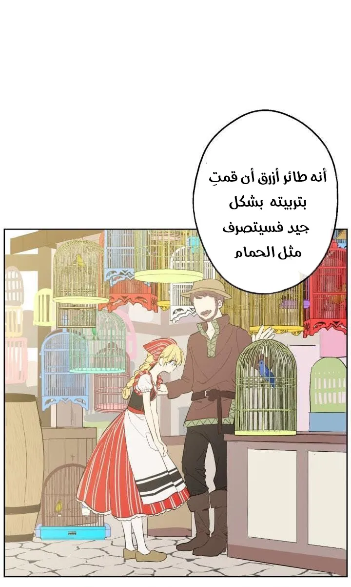 الصفحة 57 من 62