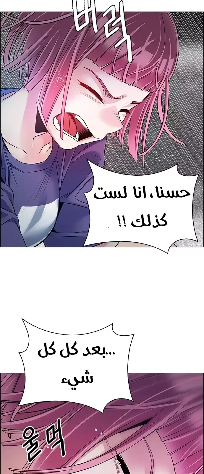 الصفحة 6 من 48