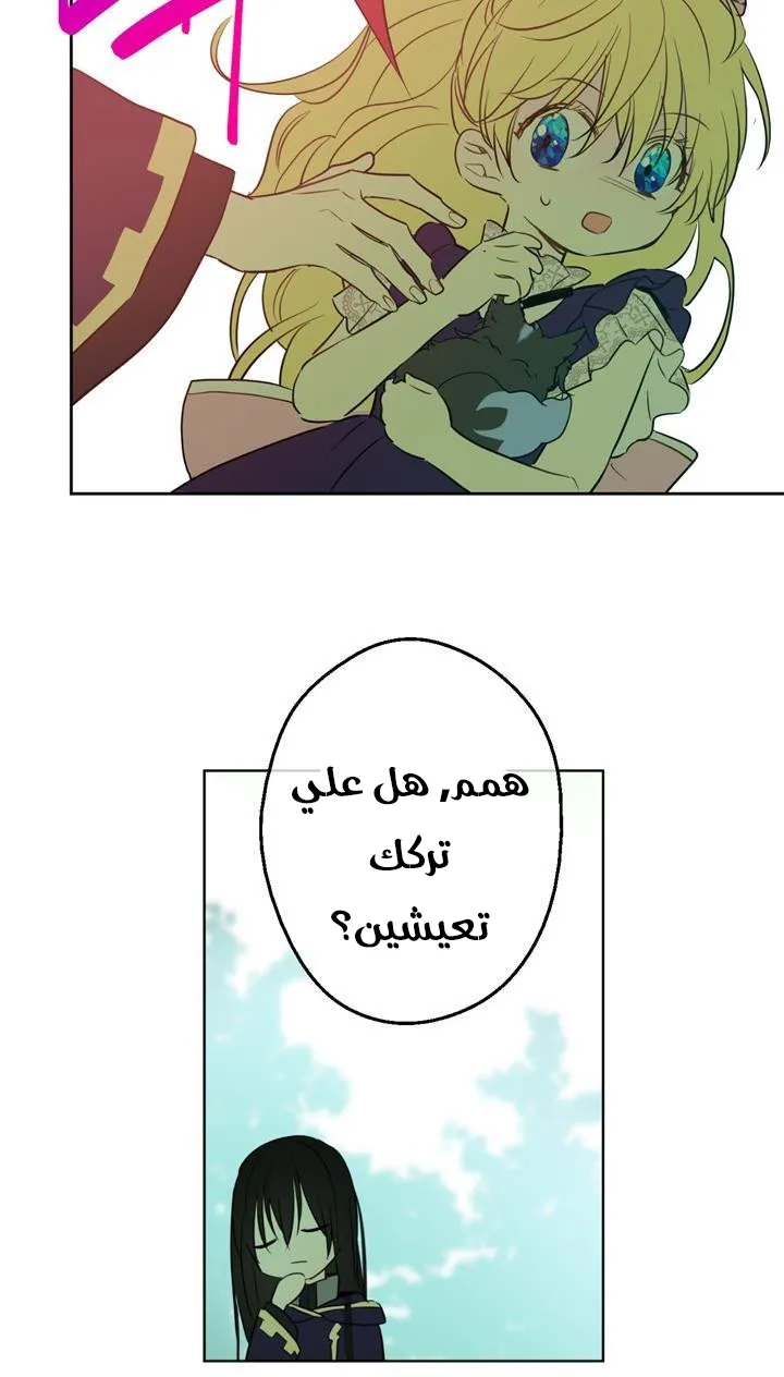 الصفحة 43 من 72