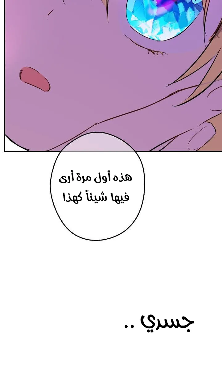 الصفحة 41 من 72