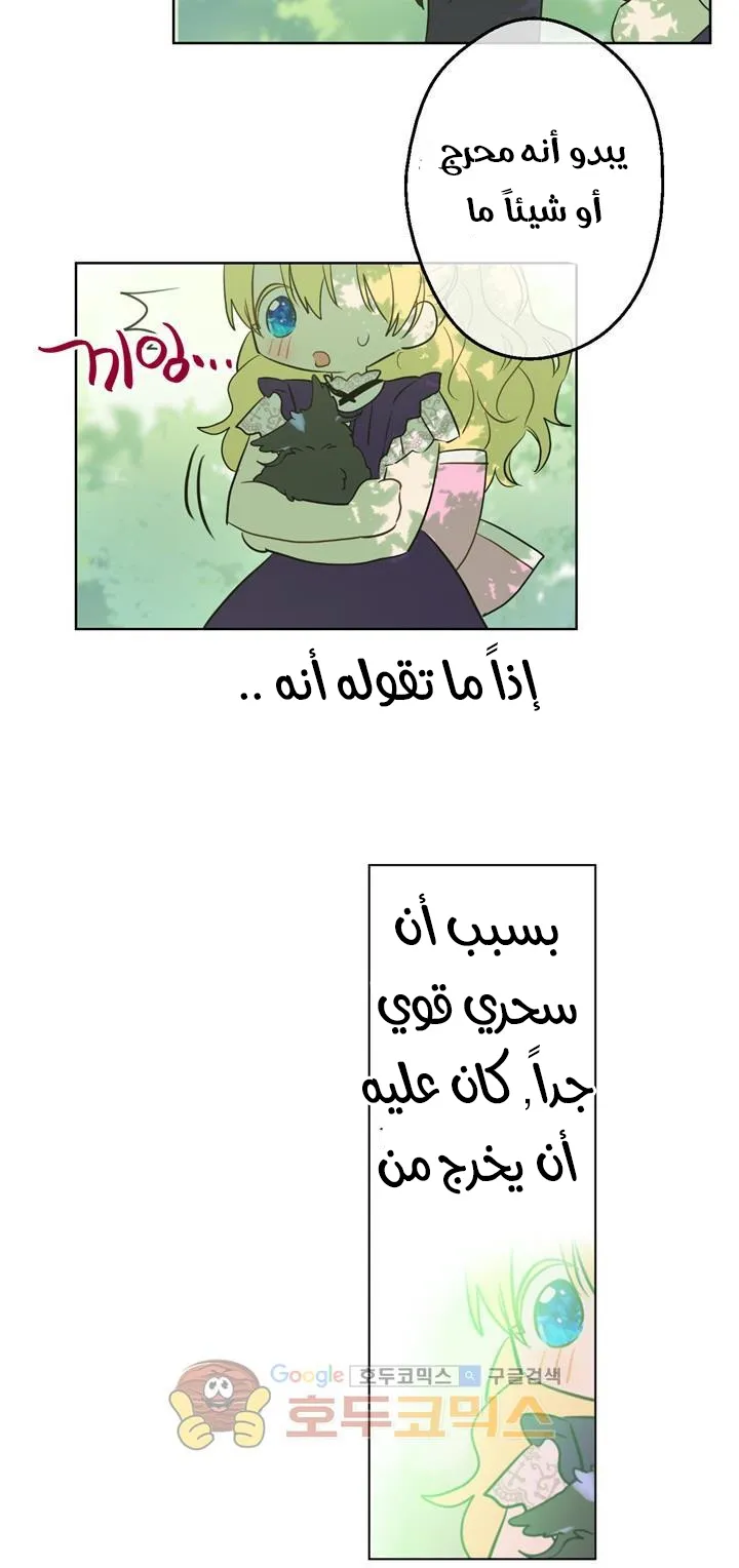 الصفحة 47 من 72