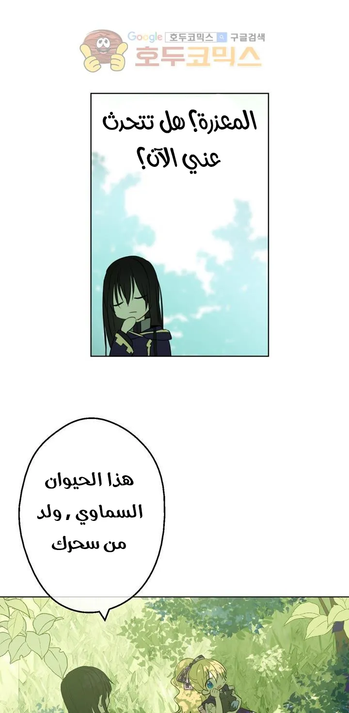 الصفحة 44 من 72