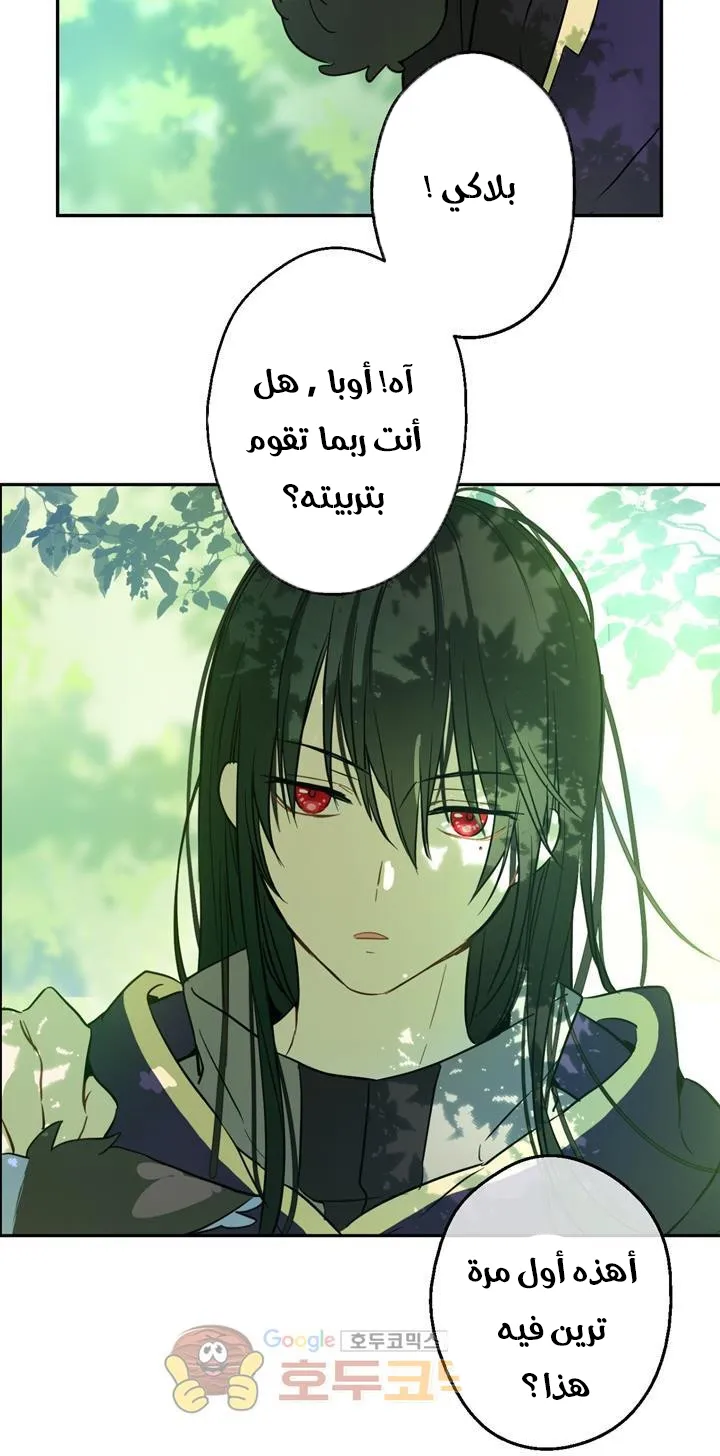 الصفحة 13 من 72