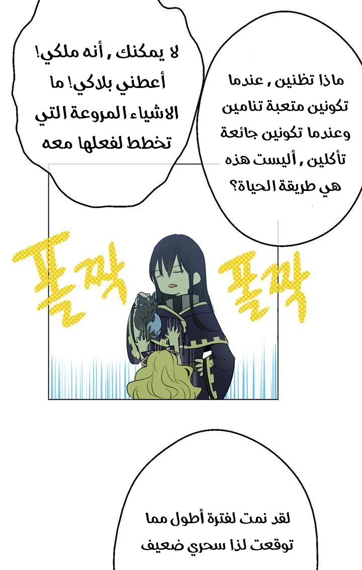 الصفحة 52 من 72