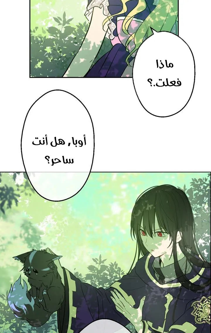 الصفحة 20 من 72