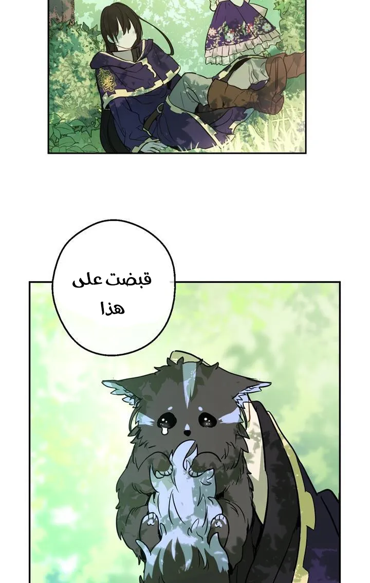 الصفحة 12 من 72
