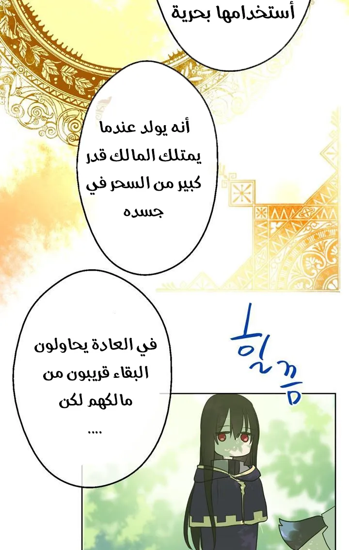 الصفحة 46 من 72