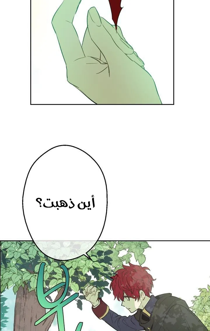 الصفحة 16 من 72