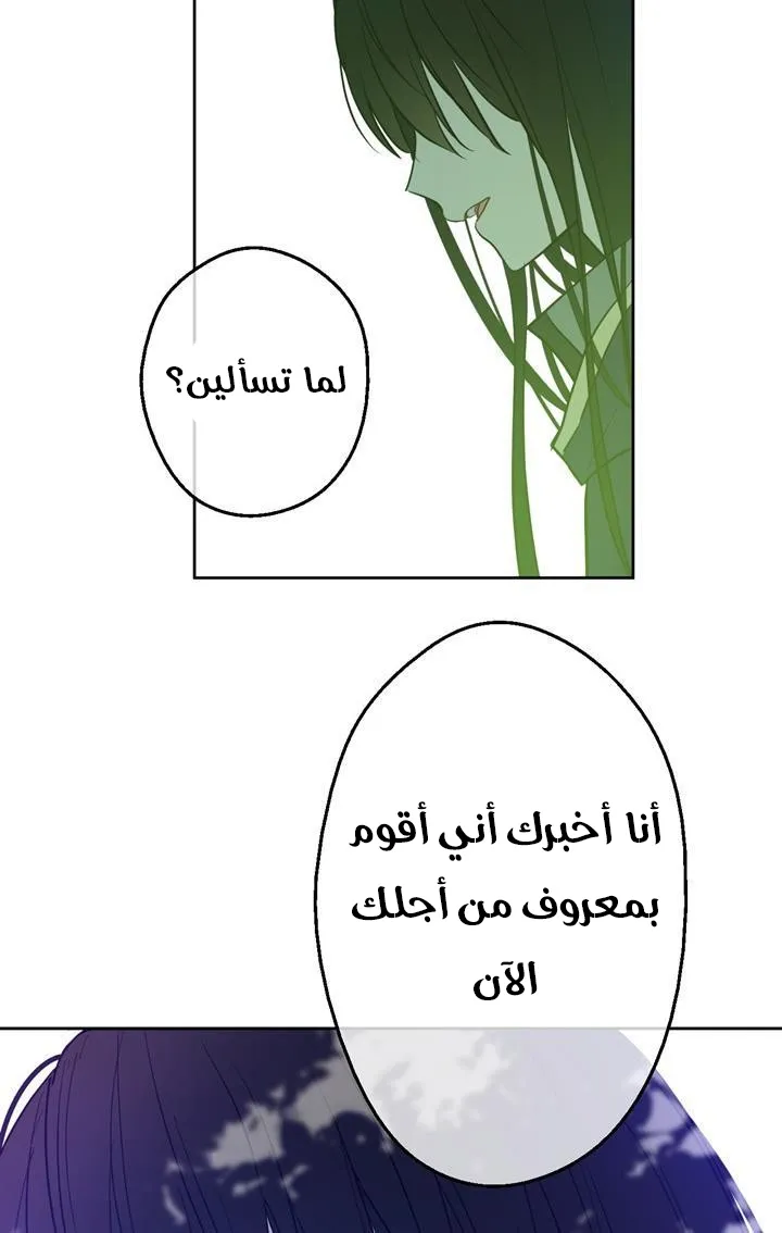 الصفحة 56 من 72