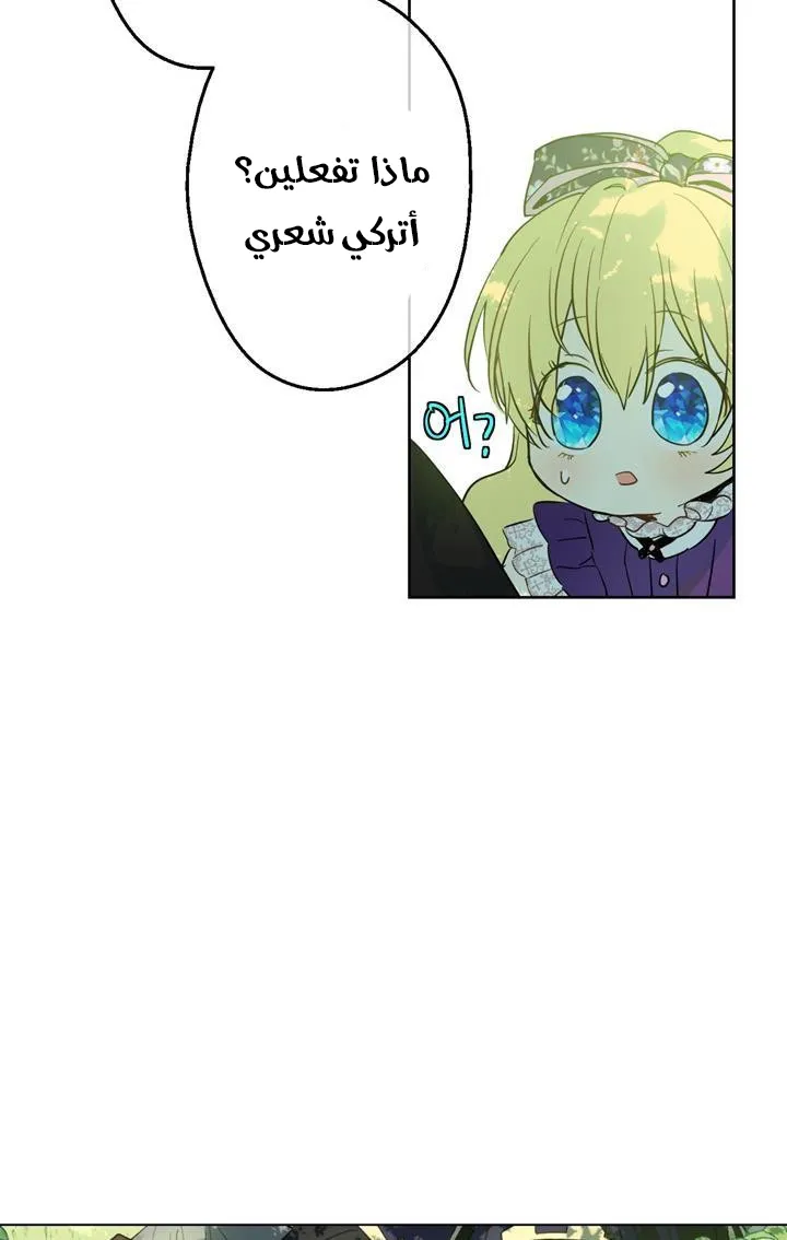 الصفحة 8 من 72