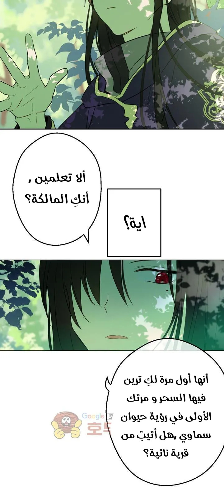الصفحة 33 من 72