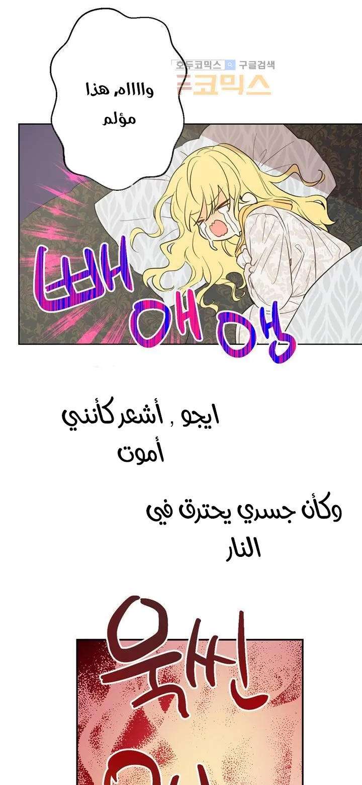 الصفحة 6 من 86