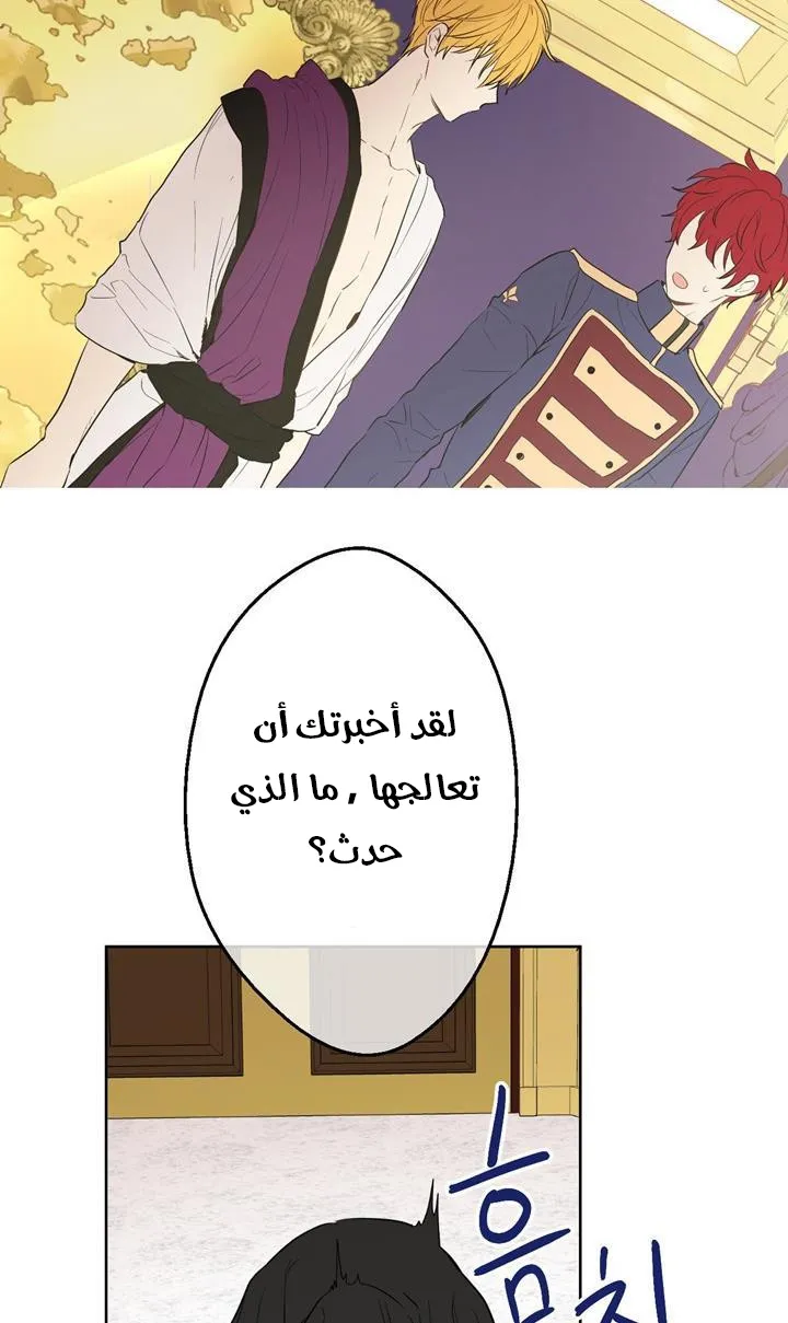 الصفحة 8 من 86