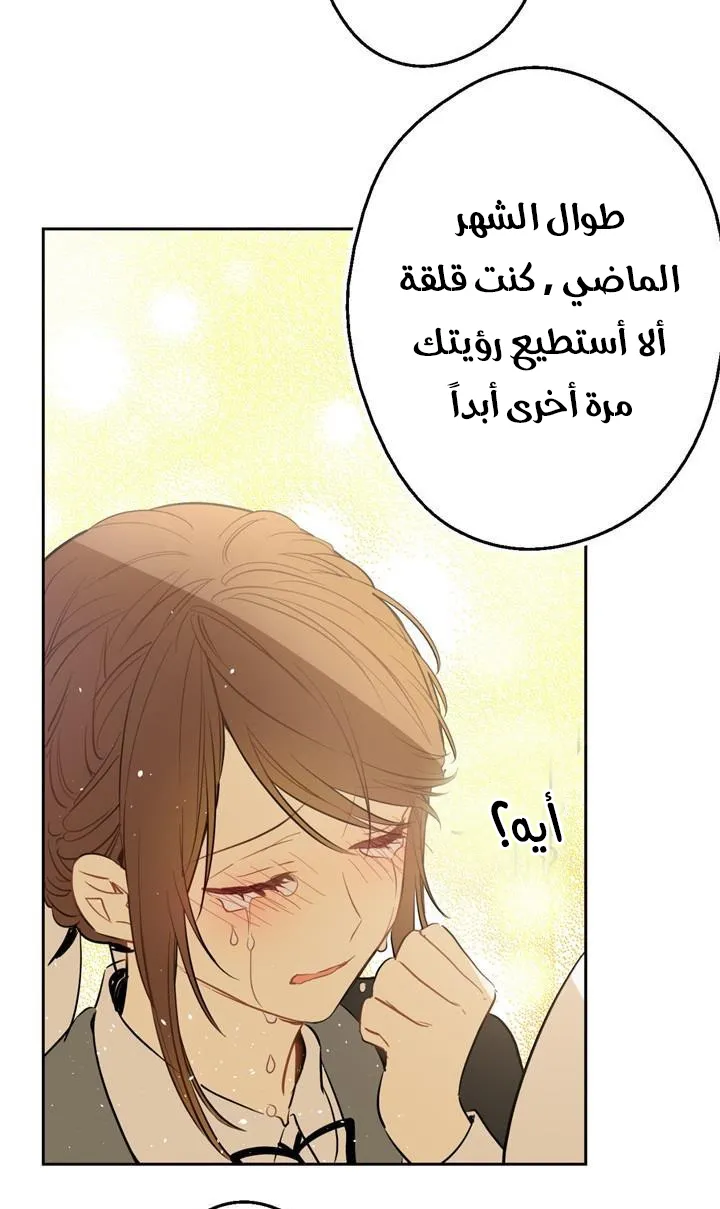الصفحة 84 من 86