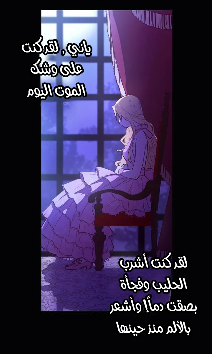 الصفحة 26 من 86