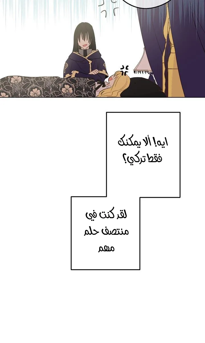 الصفحة 51 من 86