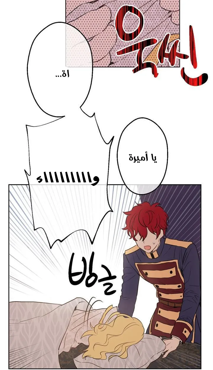 الصفحة 5 من 86