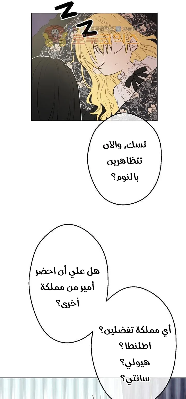 الصفحة 50 من 86