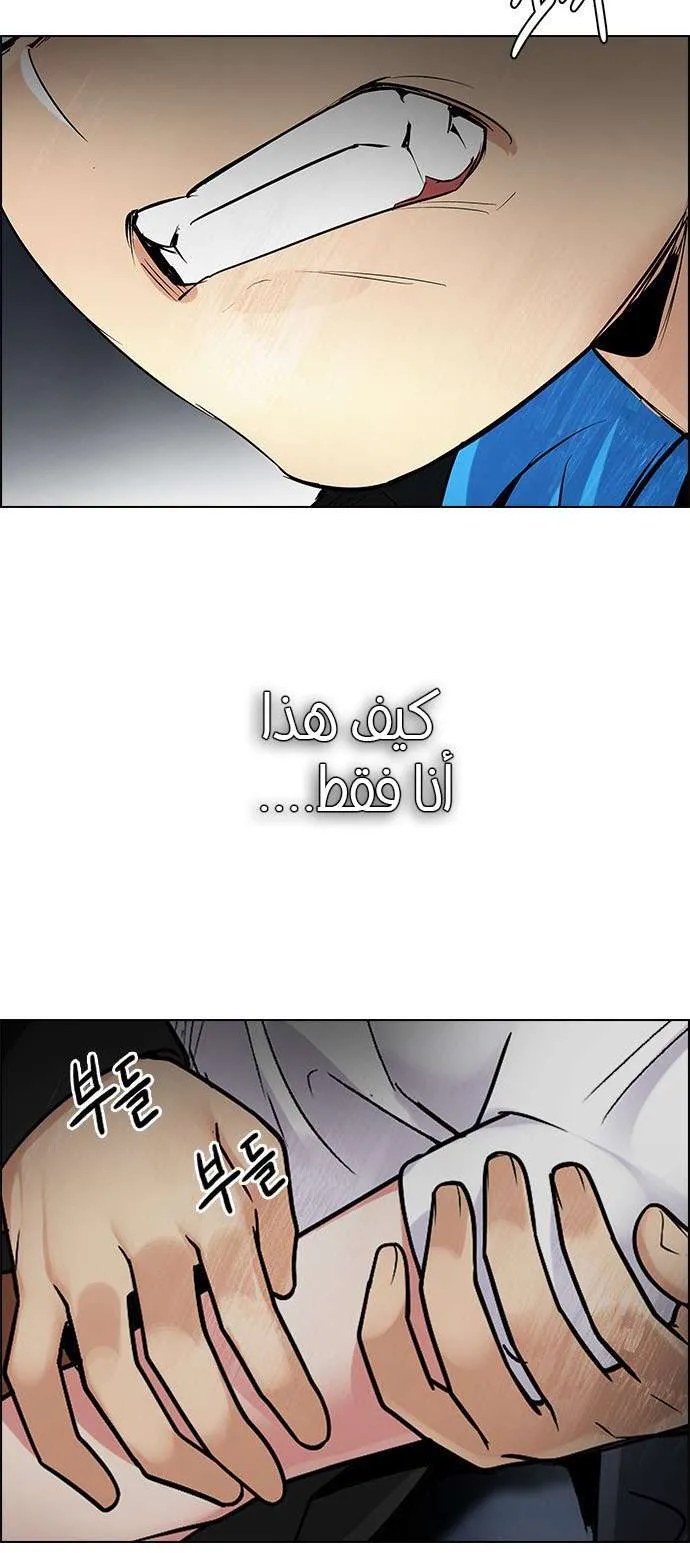 الصفحة 14 من 72