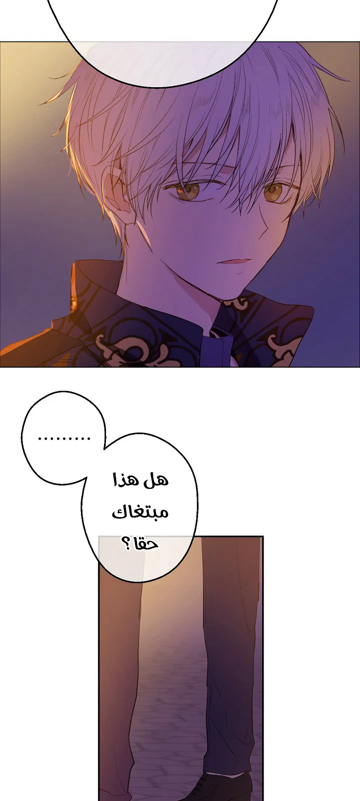 الصفحة 44 من 111