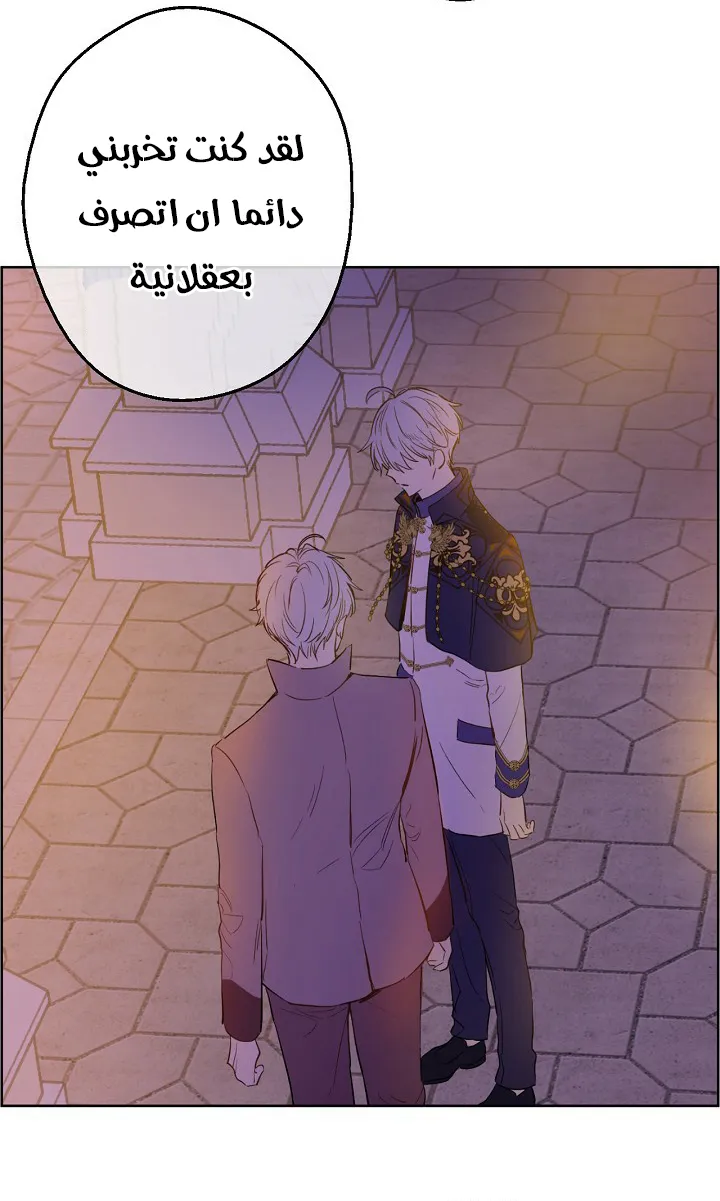 الصفحة 35 من 111