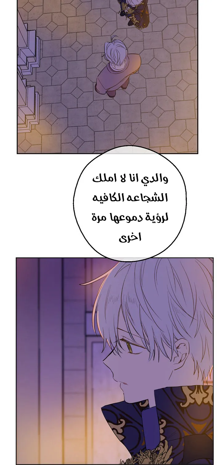 الصفحة 38 من 111