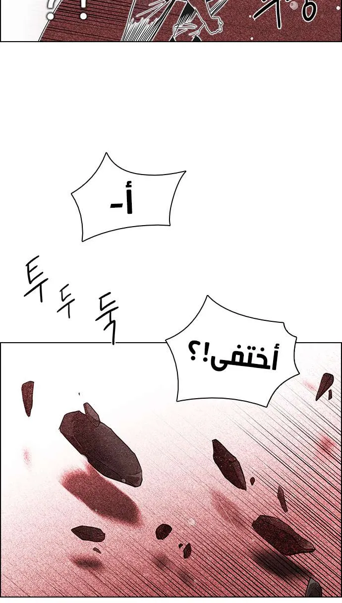 الصفحة 4 من 56