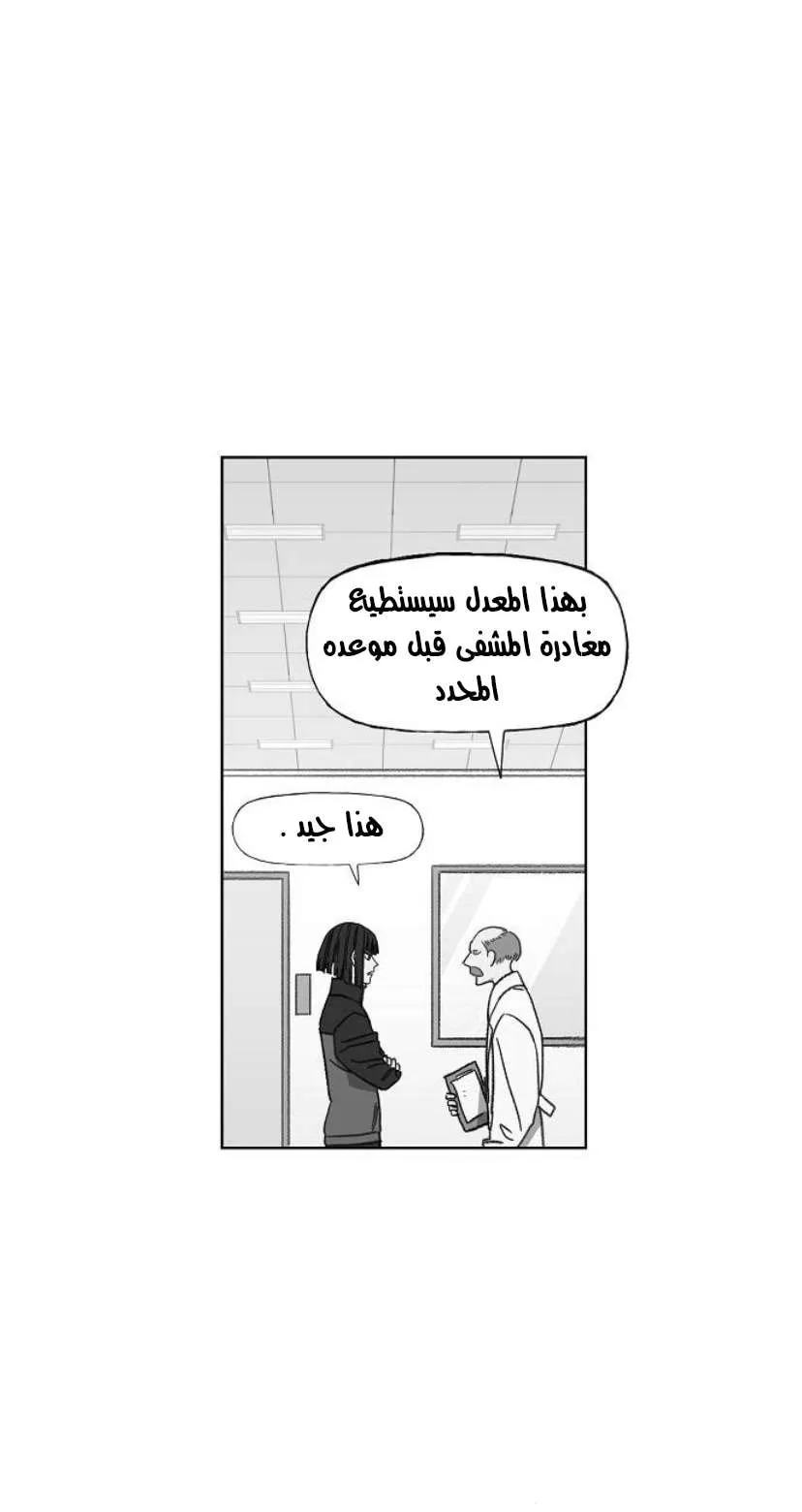الصفحة 51 من 79