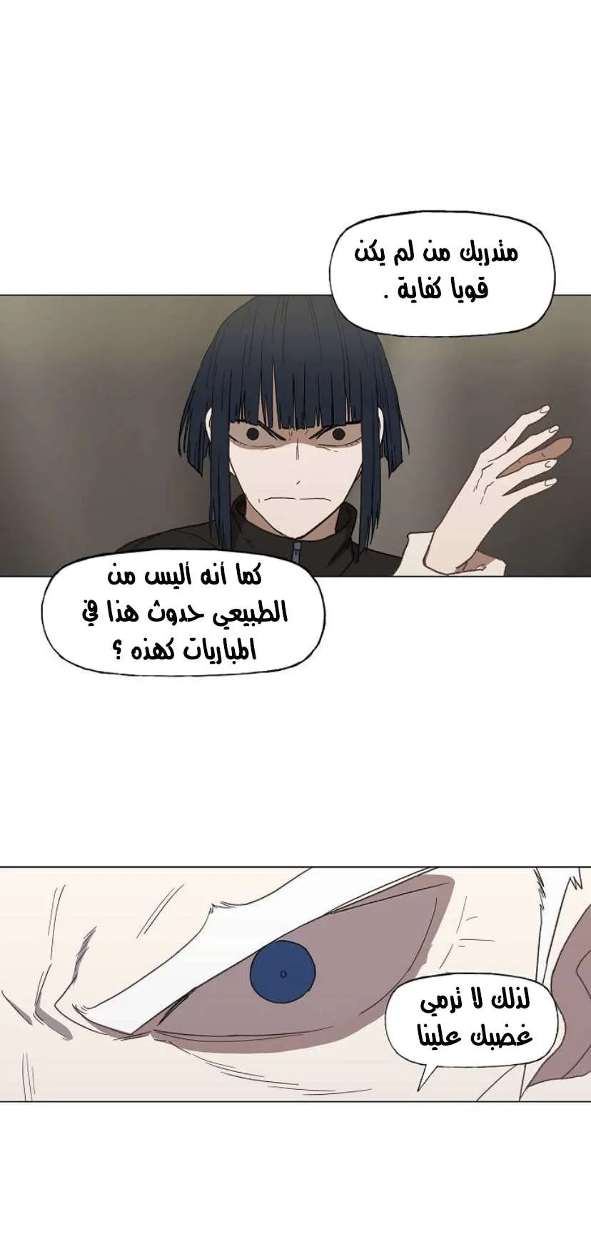 الصفحة 13 من 79